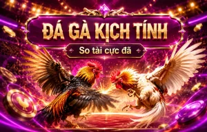 Sảnh Đá Gà 4cvisualsgroup